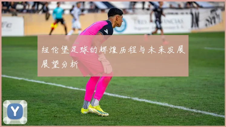 纽伦堡足球的辉煌历程与未来发展展望分析