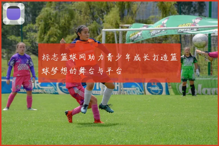 标志篮球网助力青少年成长打造篮球梦想的舞台与平台