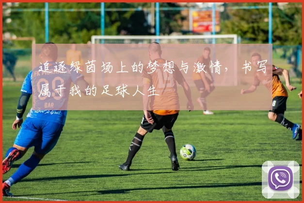 追逐绿茵场上的梦想与激情，书写属于我的足球人生