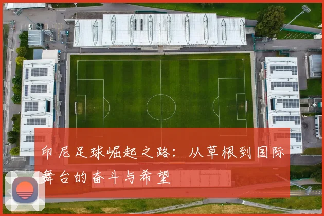 印尼足球崛起之路：从草根到国际舞台的奋斗与希望